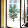 Frosted Privacy Green Pot Tree Pattern Window Film Home Bedroom Bathroom Glass Window Film Stickers Self Adhesive Sticker