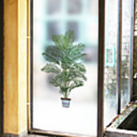 Frosted Privacy Green Pot Tree Pattern Window Film Home Bedroom Bathroom Glass Window Film Stickers Self Adhesive Sticker