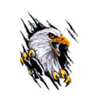 Funny Eagle Car Sticker Sunscreen Automobiles Motorcycles Exterior Accessories Vinyl Decals for Scania Vabis Bmw Audi Jeep