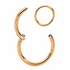 g23 titanium 18g,  16g,  14g hinged seamless segment ring body piercing - sold individually (12g 10mm rose)