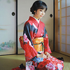 Geisha Adults