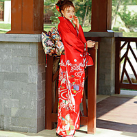Geisha Adults
