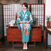 Geisha Adults