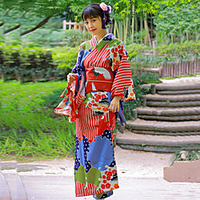 Geisha Adults