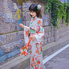 Geisha Adults