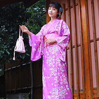 Geisha Adults