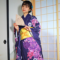 Geisha Adults
