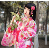 Geisha Adults
