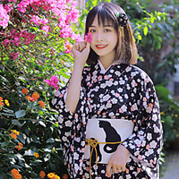 Geisha Adults