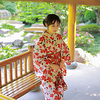 Geisha Adults