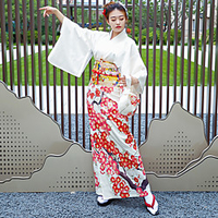 Geisha Adults