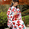 Geisha Adults