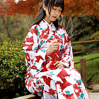 Geisha Adults