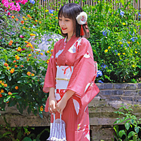 Geisha Adults