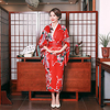 Geisha Adults