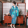 Geisha Adults