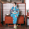 Geisha Adults