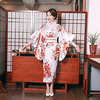 Geisha Adults