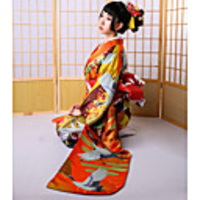 Geisha Adults