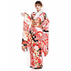 Geisha Adults