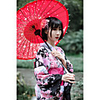 Geisha Adults