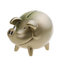 Golden Pig Coin Bank