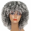 Gray Wigs for Women Afro Grey Short Curly Wig Women Heat Resistant Hair Extension Natural Hairline Party miniinthebox