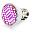 Grow Light LED Plant Growing Light Bulb 85-265V 2.5 W 360-420LM E26/E27 60 LED Beads SMD 2835 Red Blue RoHS FCC Indoor Plants Growbox