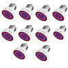 Grow Light LED Plant Growing Light Lamps E27 Led Full Spectrum Grow Light Led Bulbs Seedling 80leds Plant Growing Lamp For Greenhouse E14