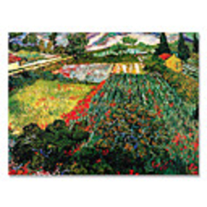 Handmade Vincent van Gogh Oil Painting (Field of Poppies)