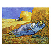 Handmade Vincent van Gogh Oil Painting (Midday Rest)