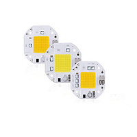 High Power 100W 70W 50W COB LED Chip 220V 110V LED COB Chip Welding Free Diode for Spotlight Floodlight Smart IC No Need Driver