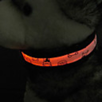 High-quality Nightlight Pet Collar(Orange)