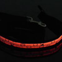 High-quality Nightlight Pet Collar(Red)