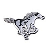 HL-6011 Car Chrome Emblem Badge Sticker - Horse Stlyle