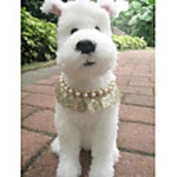 Hollow Flower Pearl Necklace for Dogs (S-L)
