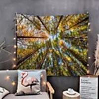 Home Living Tapestry Wall Hanging Tapestries Wall Blanket Wall Art Wall Decor Forest Tree Blue Sky Cloudy Tapestry Wall Decor