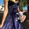 Inspired by Cosplay Princess Dress Polyster For Women