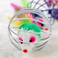 Interactive Squeaking Toy Dog Rabbits Cat Pet Toy Pet Friendly Plush Gift