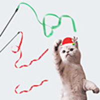 Interactive Toy Cat Toys Set Christmas Toy Dog Toy Dog Cat Pet Toy 1pc Pet Exercise Releasing Pressure Plastic Gift