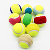 Interactive Toy Dog Cat Pet Toy 2pcs Focus Toy Rubber Gift