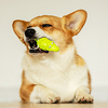Interactive Toy Dog Toy Dog Play Toy Sqeauking Toy Dog Pet Friendly Pet Exercise Releasing Pressure Rubber Gift Pet Toy Pet Play miniinthebox
