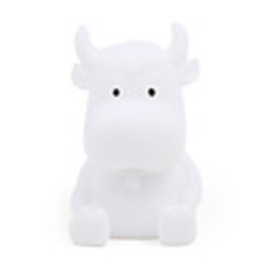 Iridescent Animal LED Colorful Light