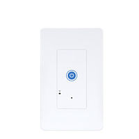 IW101 Wifi Smart Wall Timer Socket App Remote Control Voice Control Power Statistics