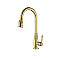 Kitchen faucet - Contemporary Ti-PVD Pull-out / ­Pull-down Vessel / Brass / Single Handle One Hole