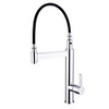 Kitchen faucet - Single Handle One Hole Chrome Pull-out / ­Pull-down / Tall / ­High Arc Centerset Patterned Tights