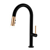 Kitchen faucet -Classic Pull-out / ­Pull-down Single Handle One Hole Painted Finishes Tall / ­High Arc Other Contemporary Kitchen Taps