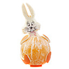 Kyrgyzstan is a rabbit piggy bank