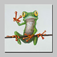 Large Hand Painted Challenge Frog Animal Oil Painting On Canvas Modern Abstract Wall Art Picture For Living Room Home Decoration Ready To Hang With Stretched Frame