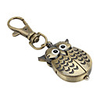 Large Owl with Many Feathers of Unisex Alloy Analog Quartz Keychain Watch (Bronze)
